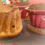 Bretzel Et Cigogne Ferienhaus Munwiller